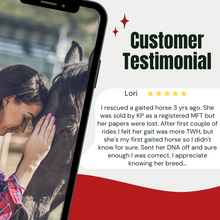 Load image into Gallery viewer, Horse DNA Breed Test