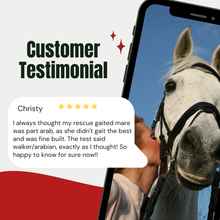 Load image into Gallery viewer, Horse DNA Breed Test