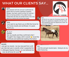 Load image into Gallery viewer, Horse DNA Breed Test