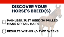 Load image into Gallery viewer, Horse DNA Breed Test