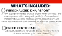 Load image into Gallery viewer, Horse DNA Breed Test