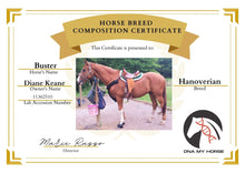 Load image into Gallery viewer, Horse DNA Breed Test