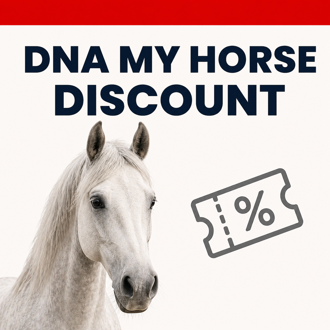 DNA My Horse Discount Code: Save 10% on Your Horse Breed DNA Test
